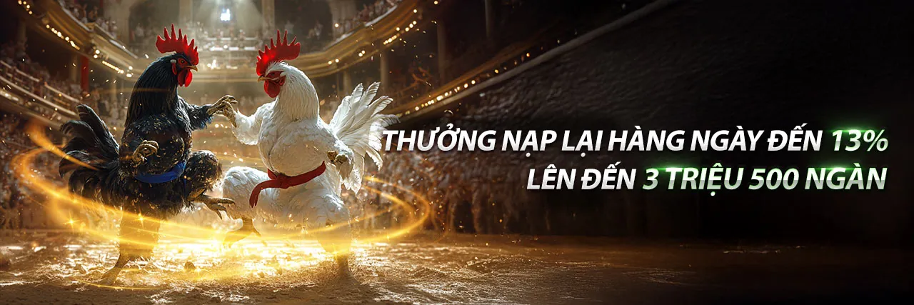 Đội ngũ hỗ trợ khách hàng chuyên nghiệp i9bet58